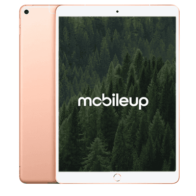 Apple iPad Air 2019 (3. Gen) WiFi 64 GB Gold - Beschädigt