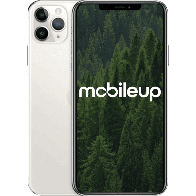 iPhone 11 Pro Max | Silber | Sehr gut | Single SIM + eSIM | 512 GB