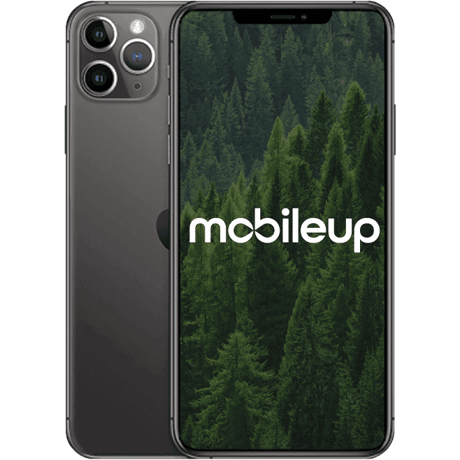 iPhone 11 Pro Max | Grau | Wie neu | Single SIM + eSIM | 64 GB