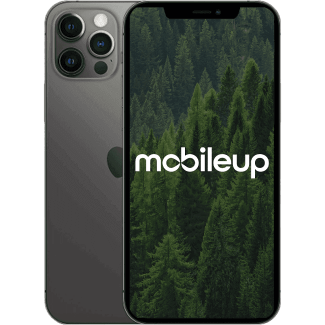 iPhone 12 Pro | Grau | Wie neu | Single SIM + eSIM | 256 GB