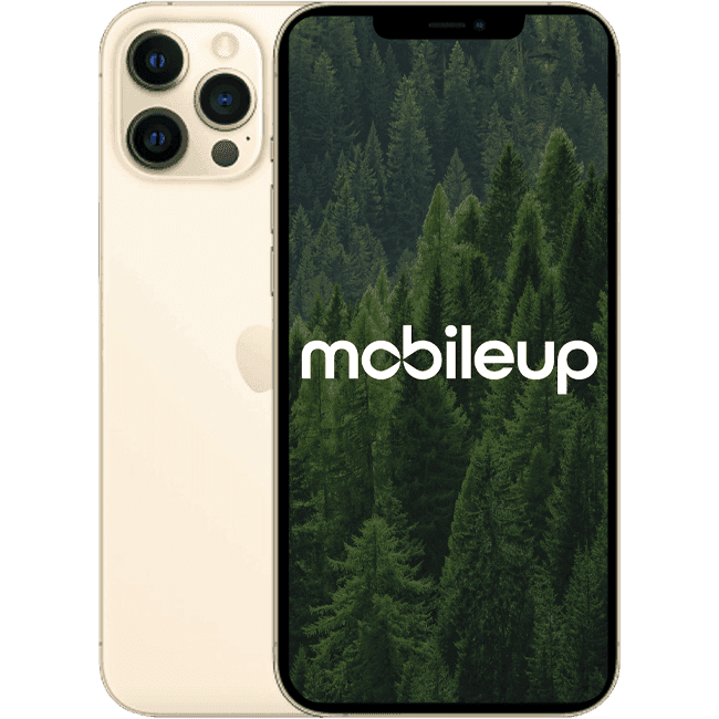 iPhone 12 Pro Max | Gold | Gut | Single SIM + eSIM | 256 GB