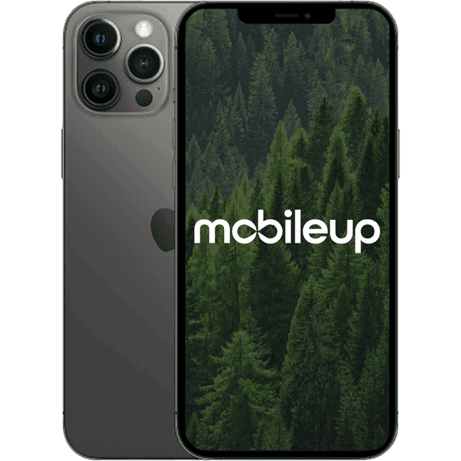 iPhone 12 Pro Max | Grau | Sehr gut | Single SIM + eSIM | 256 GB