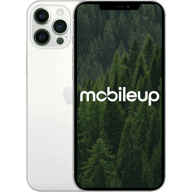 iPhone 12 Pro Max | Silber | Gut | Single SIM + eSIM | 512 GB