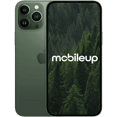 iPhone 13 Pro Max | Grün | Gut | Single SIM + eSIM | 512 GB