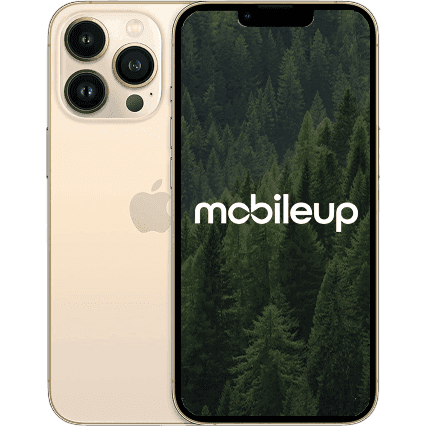 iPhone 13 Pro Max | Gold | Sehr gut | Single SIM + eSIM | 1000 GB