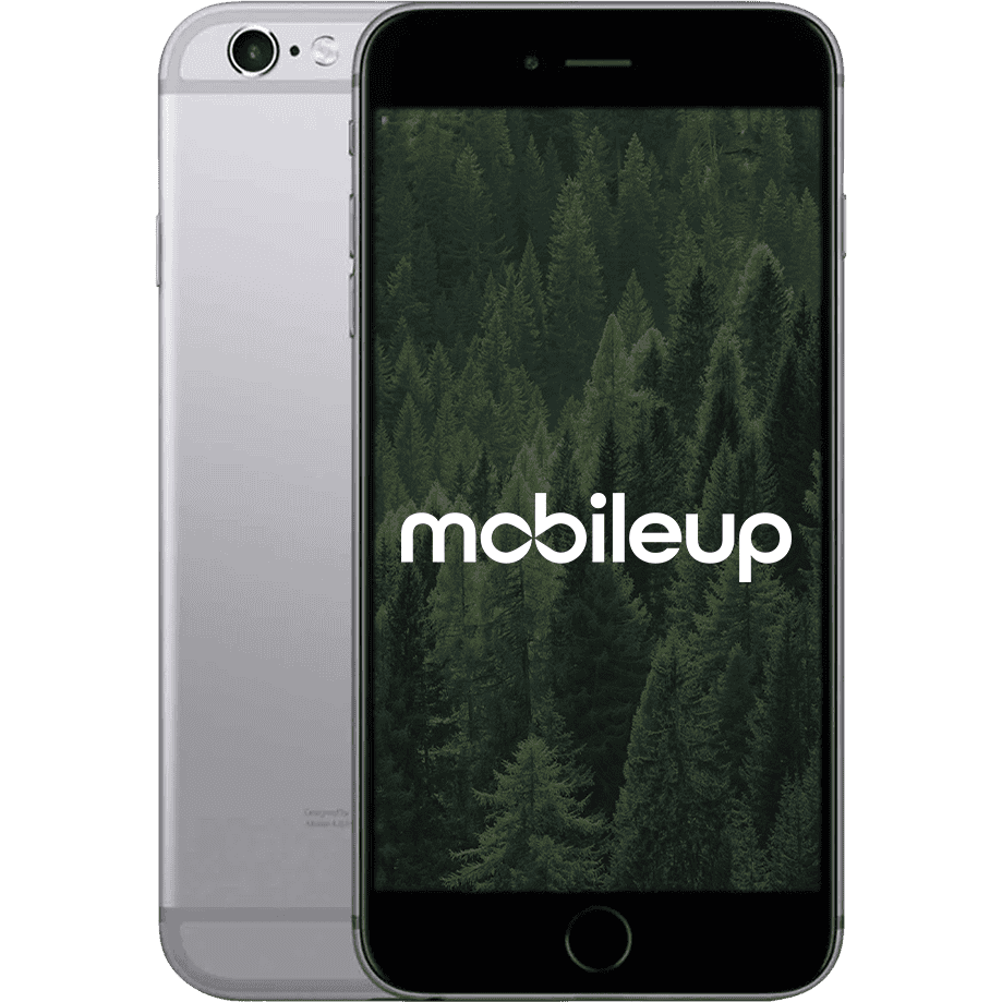 iPhone 6s Plus | Grau | Gut | Single SIM | 32 GB