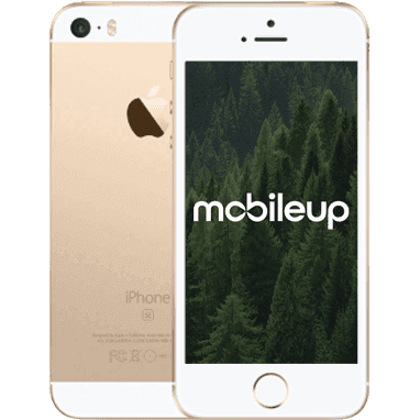 iPhone SE | Gold | Sehr gut | Single SIM | 64 GB