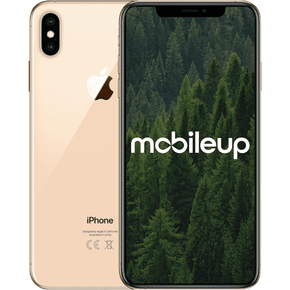 iPhone XS Max | Gold | Sehr gut | Single SIM + eSIM | 256 GB