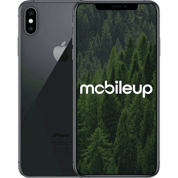 iPhone XS Max | Grau | Gut | Single SIM + eSIM | 64 GB