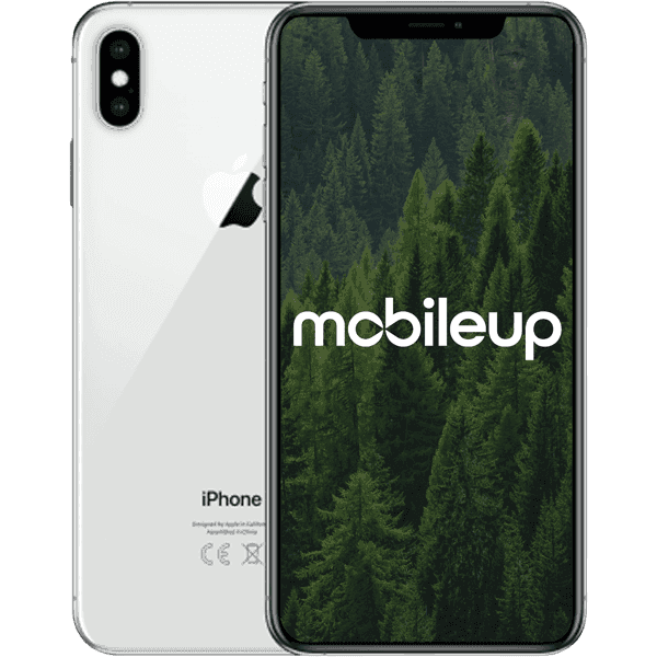 iPhone XS | Silber | Gut | Single SIM + eSIM | 256 GB