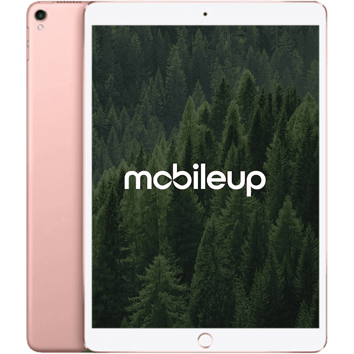 10,5" Apple iPad Pro 2017 | Gold | Gut | WIFI | 64 GB