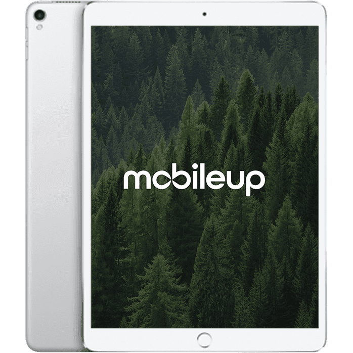 10,5" Apple iPad Pro 2017 | Silber | Gut | LTE + WIFI | 256 GB