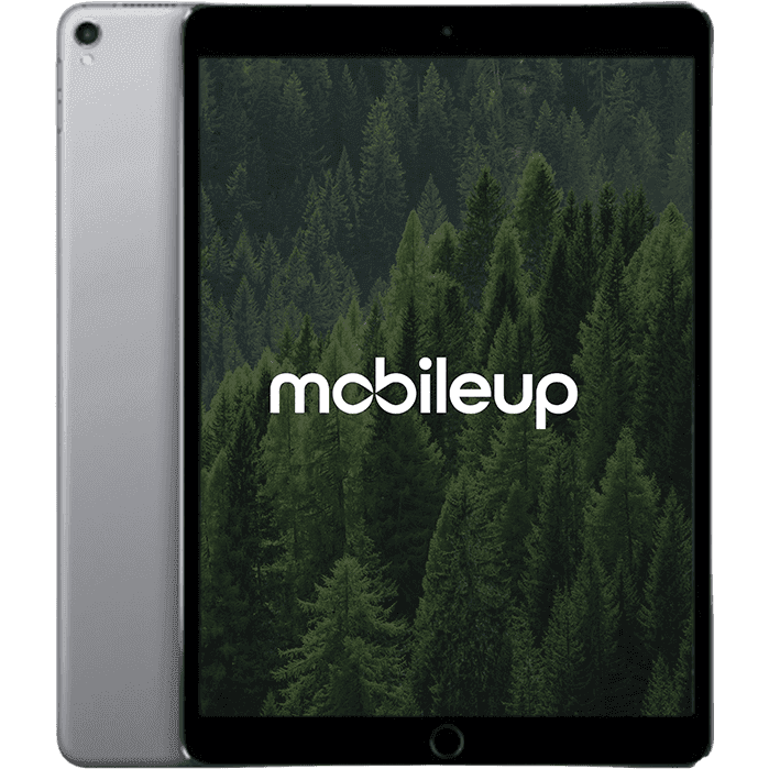 10,5" Apple iPad Pro 2017 | Grau | Wie neu | WIFI | 64 GB