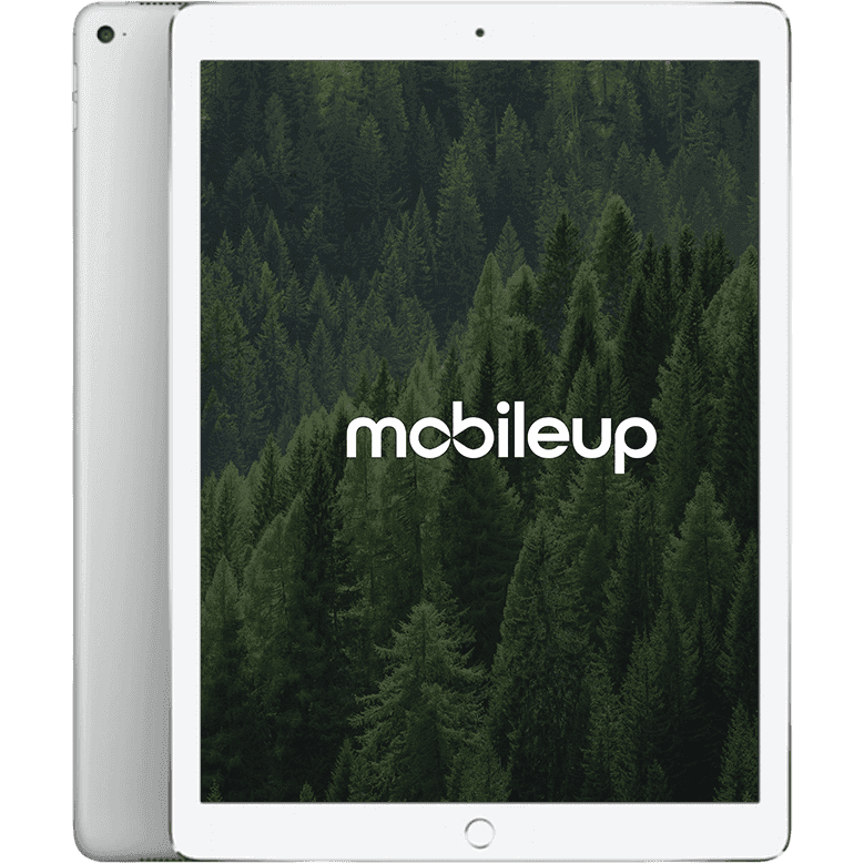 12,9" Apple iPad Pro 2015 (1. Gen) | Silber | Gut | WIFI | 128 GB