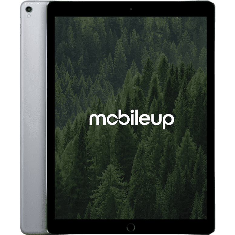 12,9" Apple iPad Pro 2017 (2. Gen) | Grau | Gut | WIFI | 64 GB