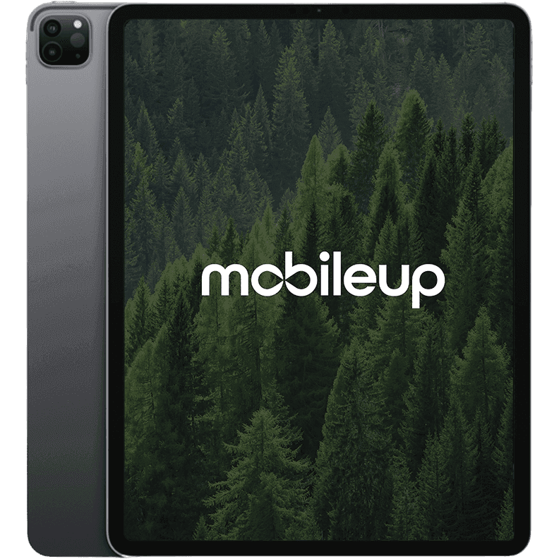 12,9" Apple iPad Pro 2021 (5. Gen) | Grau | Wie neu | WIFI | 256 GB