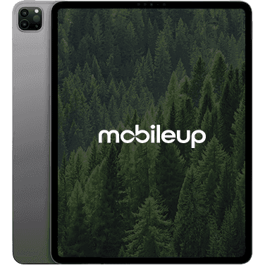 12,9" Apple iPad Pro 2022 (6. Gen) | Grau | Sehr gut | WIFI | 128 GB