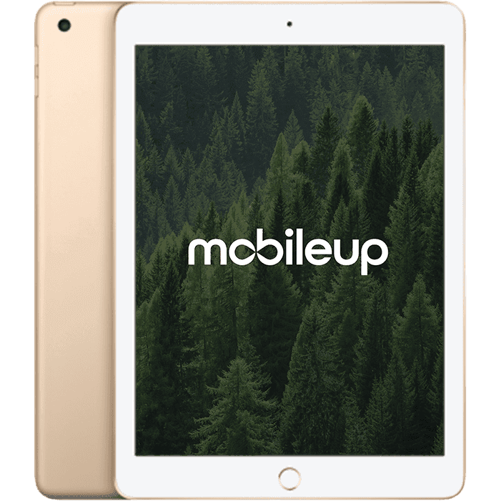 Apple iPad 2017 (5. Gen) | Gold | Gut | WIFI | 32 GB