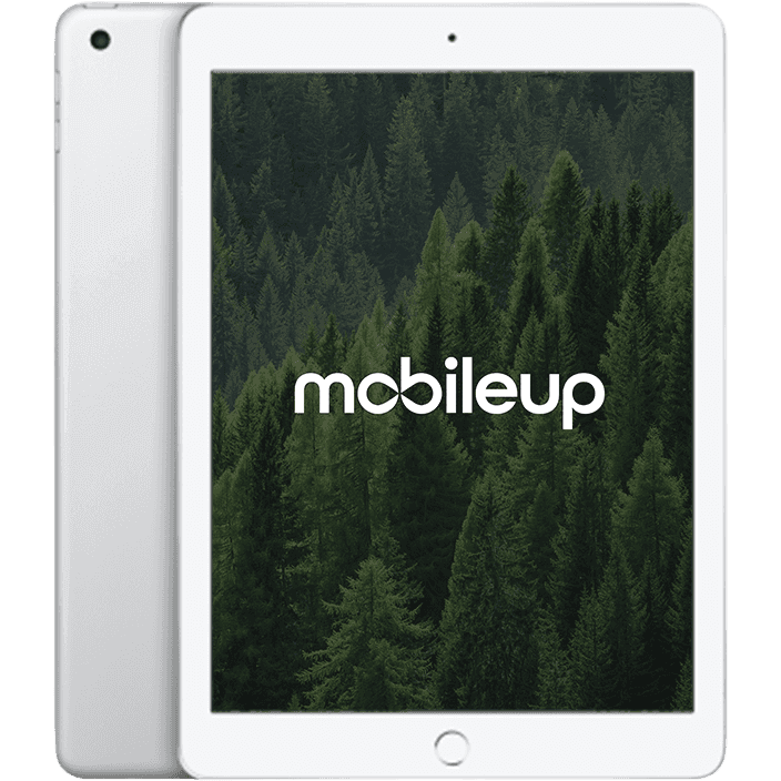 Apple iPad 2017 (5. Gen) | Silber | Gut | LTE + WIFI | 32 GB