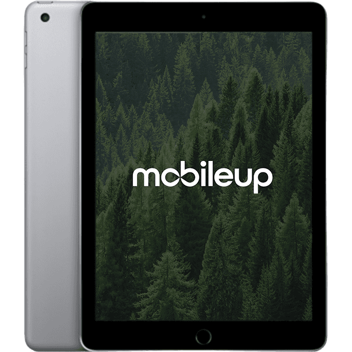 Apple iPad 2017 (5. Gen) | Grau | Gut | LTE + WIFI | 128 GB