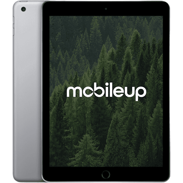 Apple iPad 2018 (6. Gen) | Grau | Gut | WIFI | 128 GB