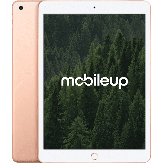 Apple iPad 2019 (7. Gen)