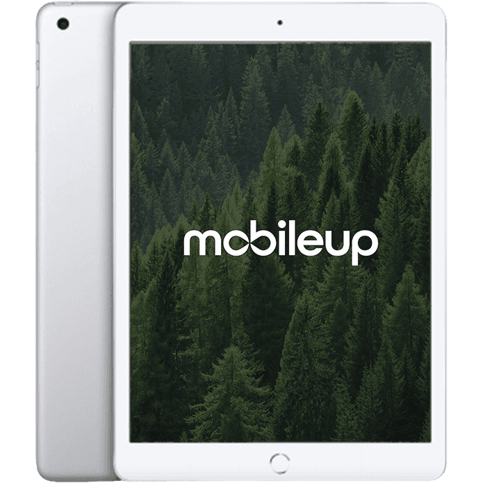 Apple iPad 2020 (8. Gen) | Silber | Sehr gut | WIFI | 32 GB
