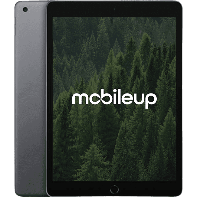 Apple iPad 2021 (9. Gen) | Grau | Sehr gut | WIFI | 64 GB