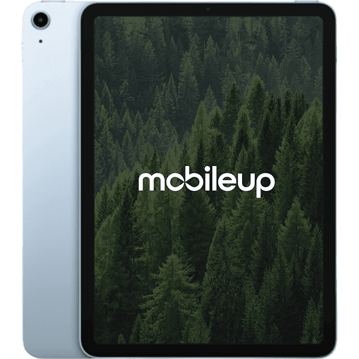 Apple iPad Air 2020 (4. Gen) | Blau | Sehr gut | WIFI | 256 GB