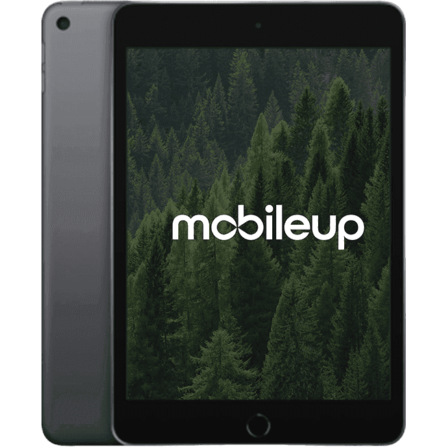 Apple iPad mini 2019 (5. Gen) | Grau | Gut | WIFI | 256 GB